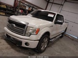FORD F-150 FX4/HARLEY-DAVIDSON/KING RANCH/LARIAT/PLATINUM/XL/XLT 1FTFW1EV8AFD10110 fotografie