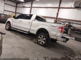 FORD F-150 FX4/HARLEY-DAVIDSON/KING RANCH/LARIAT/PLATINUM/XL/XLT 1FTFW1EV8AFD10110 fotografie