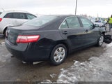 TOYOTA CAMRY LE V6 4T1BK46K29U087999 fotografie