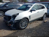 CADILLAC SRX PREMIUM COLLECTION 3GYFNEE39DS624965 снимка