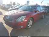 NISSAN MAXIMA 3.5 SE 1N4BA41E04C892459 снимка