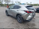 LEXUS NX 250 JTJADCAZ1N5****** снимка