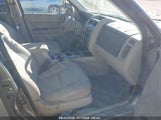 FORD ESCAPE XLT 1FMCU93198K****** fotografie