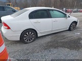 HONDA CIVIC EX-L 19XFA1F91BE****** fotografie