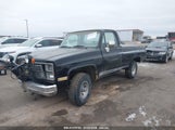 CHEVROLET K10 1GCEK14H3EF353374 снимка