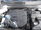 KIA SORENTO 3.3L EX 5XYPHDA59KG464880 снимка