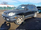 HYUNDAI SANTA FE GLS/LX KM8SC13D42U279688 photo