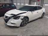 NISSAN MAXIMA 3.5 PLATINUM/3.5 S/3.5 SL/3.5 SR/3.5 SV 1N4AA6AP0HC366492 photo