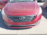 HYUNDAI SONATA SPORT 5NPE34AF7FH122633 fotografie
