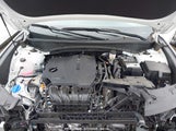 HYUNDAI TUCSON SEL 5NMJB3DE7RH372356 снимка