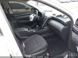HYUNDAI TUCSON SEL 5NMJB3DE7RH372356 снимка