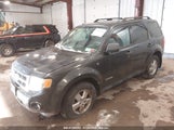 FORD ESCAPE XLT 1FMCU93158K****** снимка