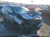 JEEP COMPASS TRAILHAWK 4X4 3C4NJDDB4LT184288 снимка