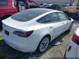 TESLA MODEL 3 REAR-WHEEL DRIVE 5YJ3E1EA0PF483569 снимка