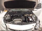 CHEVROLET MALIBU LIMITED LT 1G11C5SAXGF156559 photo