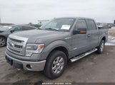 FORD F-150 XLT 1FTFW1ET0EKF34614 снимка