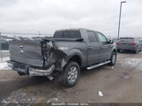 FORD F-150 XLT 1FTFW1ET0EKF34614 снимка