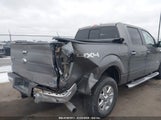 FORD F-150 XLT 1FTFW1ET0EKF34614 снимка