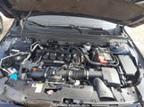HONDA ACCORD LX 1HGCV1F13LA099675 photo