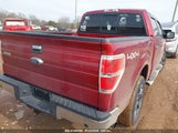 FORD F-150 XLT 1FTFW1ET2DFD19422 снимка