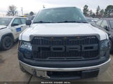 FORD F-150 XL 1FTEX1CM9BK****** снимка