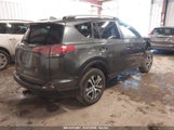 TOYOTA RAV4 LE JTMBFREV7HD****** fotografie