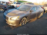 NISSAN MAXIMA 3.5 SV 1N4AA5AP4EC910708 снимка