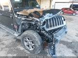 JEEP WRANGLER UNLIMITED FREEDOM 4X4 1C4HJXDN8LW253812 fotografie