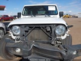 JEEP WRANGLER UNLIMITED SPORT S 4X4 1C4HJXDN0LW198160 fotografie