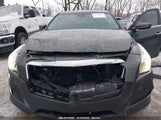 CADILLAC CTS V-SPORT 1G6AU5S81H0116508 fotografie
