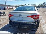 HYUNDAI SONATA SPORT 5NPE34AF1FH050411 photo