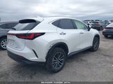 LEXUS NX 250 JTJADCAZ5S5024241 снимка