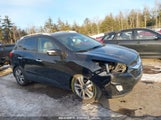 HYUNDAI TUCSON LIMITED KM8JUCAG5FU980442 photo