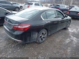 HONDA ACCORD LX 1HGCR2F38GA087782 снимка