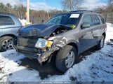 FORD ESCAPE XLT 1FMCU9DG8AK****** fotografie
