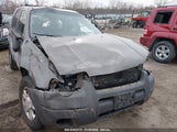 FORD ESCAPE XLT 1FMCU93104KA88855 снимка