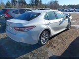 Toyota Camry Xle 4T1B11HK3KU737203 photo