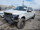 FORD F-150 FX4/HARLEY-DAVIDSON/LARIAT/XL/XLT 1FTFW1EV3AFC49717 photo