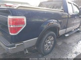 FORD F-150 FX4/LARIAT/XL/XLT 1FTPX14V09F****** fotografie