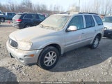 BUICK RAINIER CXL 5GADT13SX42235481 снимка