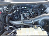 FORD F-150 XLT 1FTEW1EP3KFC05313 снимка