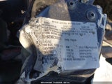 CHEVROLET SILVERADO 1500 WORK TRUCK 1GCEC19Z36Z293370 снимка