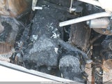 MERCEDES-BENZ SPRINTER 1500 STANDARD ROOF I4 W1Y70BGY5NT110887 снимка