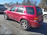 FORD ESCAPE LIMITED 1FMYU94135KC22117 снимка