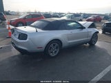 FORD MUSTANG V6 PREMIUM 1ZVBP8EM7B5124543 снимка