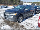 ACURA RDX 5J8TB4H31DL019854 снимка