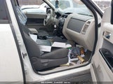 MAZDA TRIBUTE I SPORT 4F2CY9C77AK****** снимка