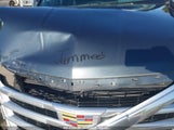 CADILLAC ESCALADE ESV LUXURY 1GYS4HKJ0KR217932 fotografie