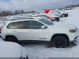 JEEP CHEROKEE ALTITUDE 4X4 1C4PJMLB6LD559629 снимка