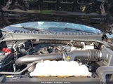 FORD EXPEDITION LIMITED MAX 1FMJK2A87PEA60087 снимка